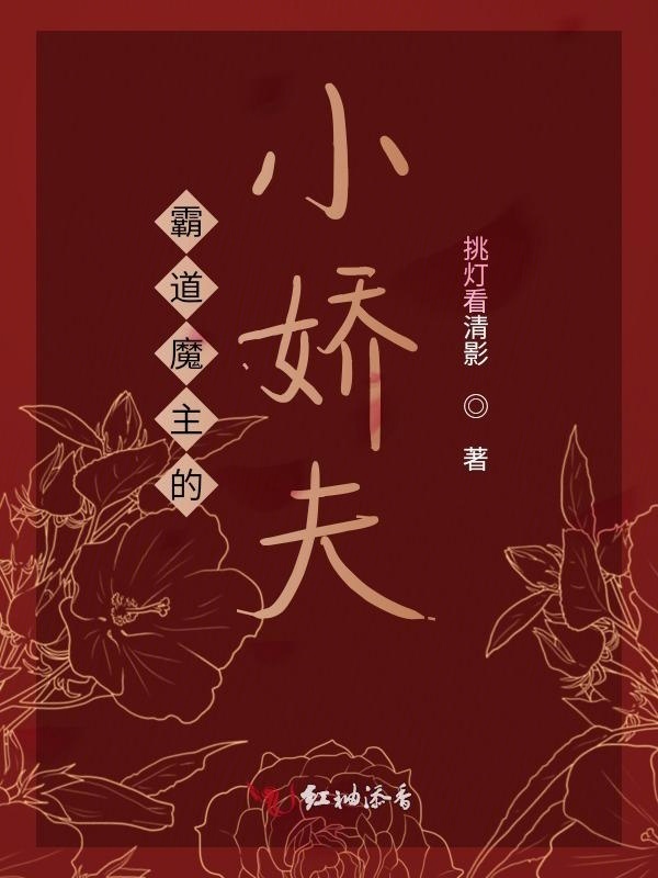 霸道魔主的小娇夫小说封面