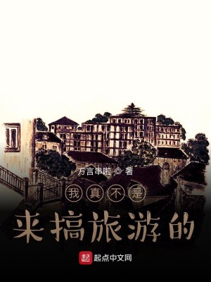 《我真不是搞旅游的》封面