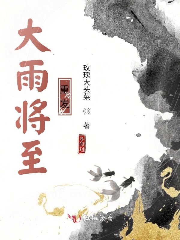 我的大雨将至小说封面