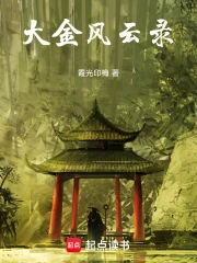 Đại Kim Phong Vân Lục