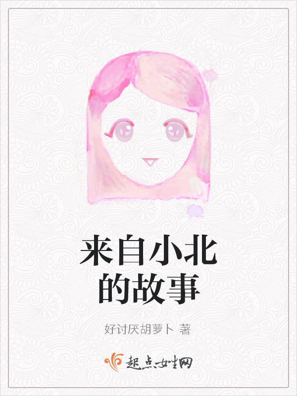 来自小北的故事小说封面