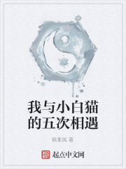 我与小白猫的五次相遇