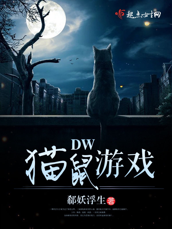 DW猫鼠游戏小说封面