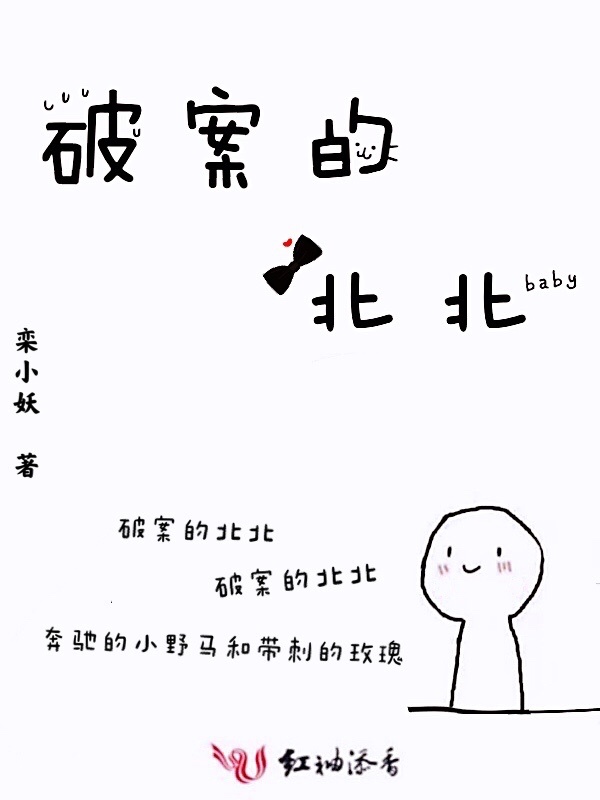破案的北北小说封面