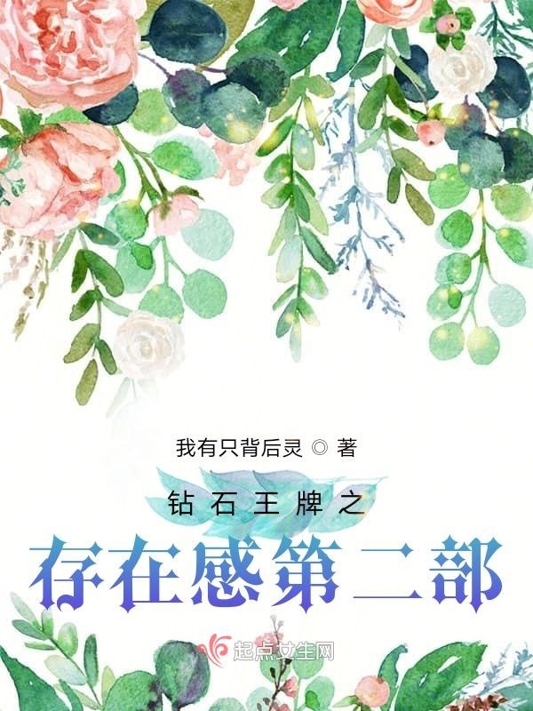 钻石王牌之存在感第二部小说封面