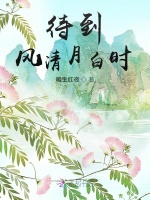 待到风清月白时