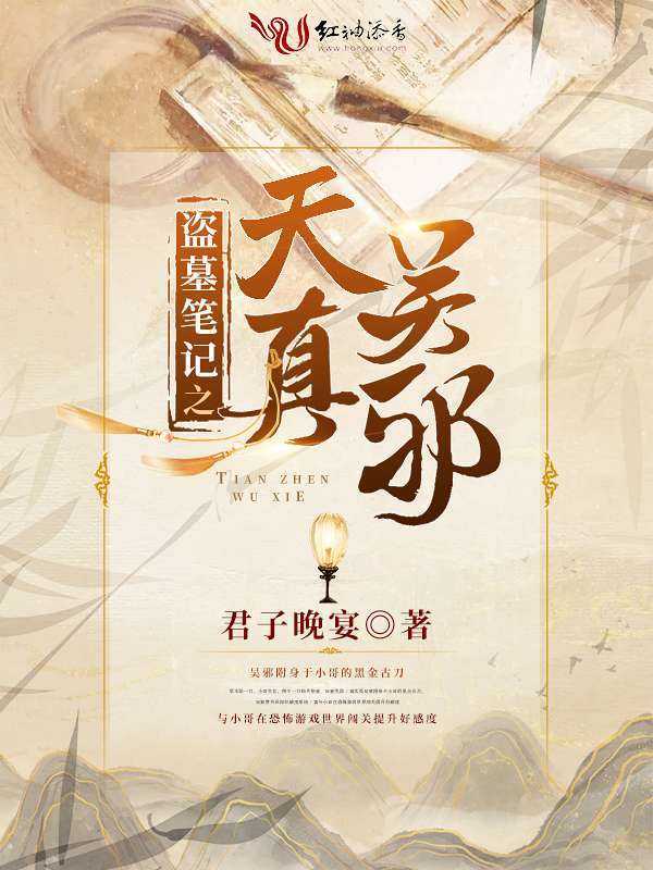 盗墓笔记之天真吴邪小说封面