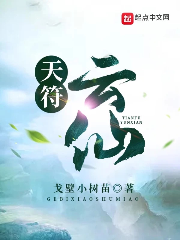 天符云仙小说封面