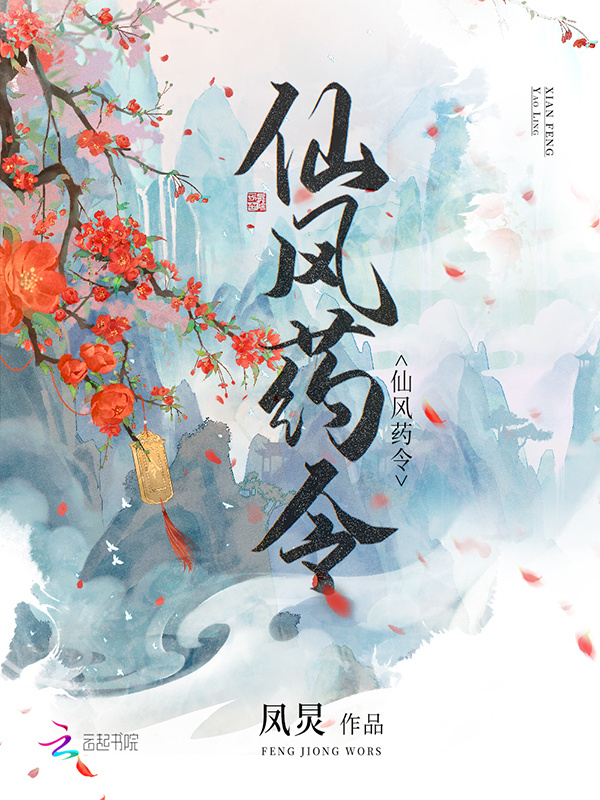仙风药令小说封面