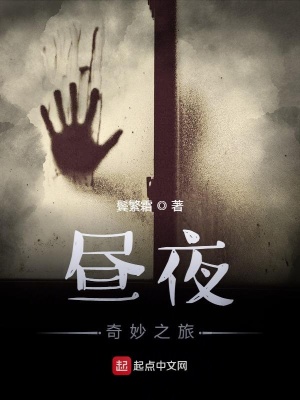 《昼夜：奇妙之旅》封面