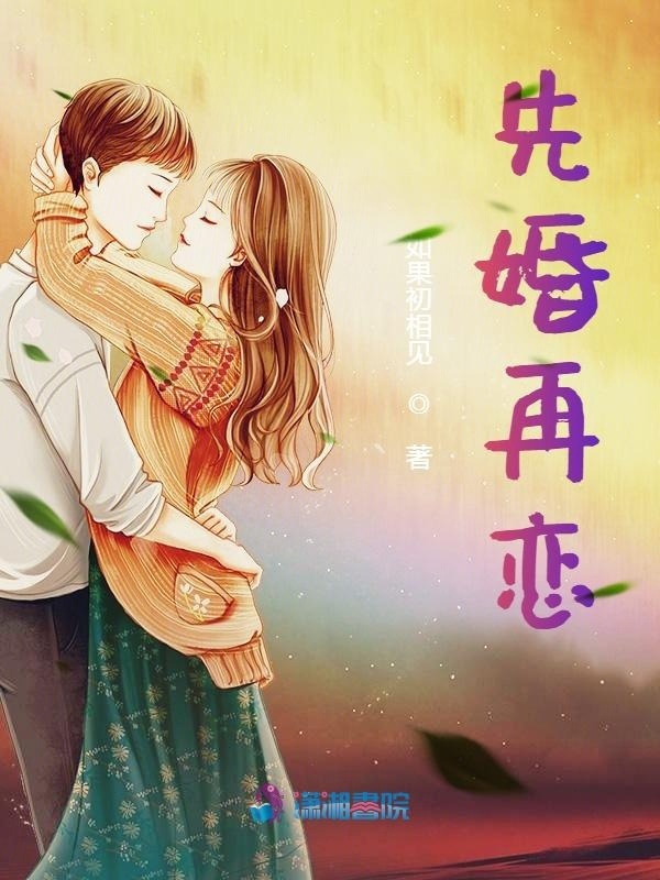 先婚再恋小说封面