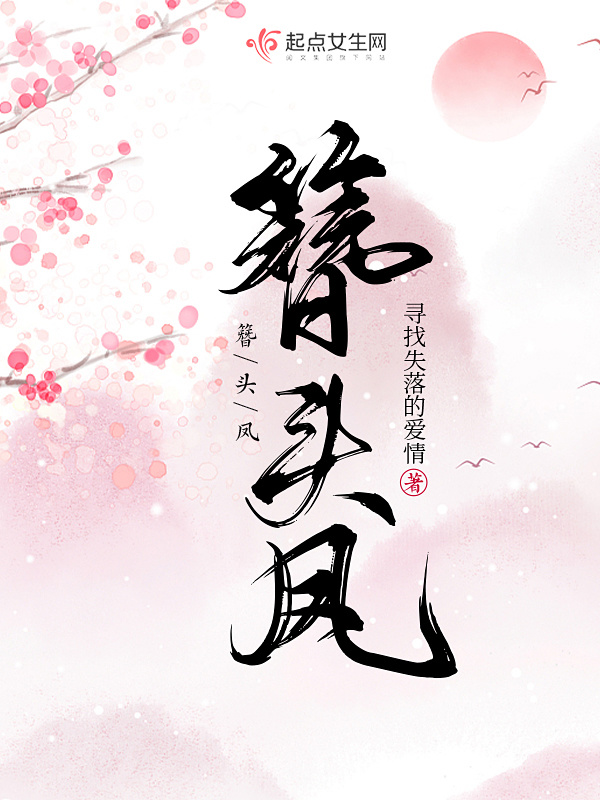 簪头凤小说封面