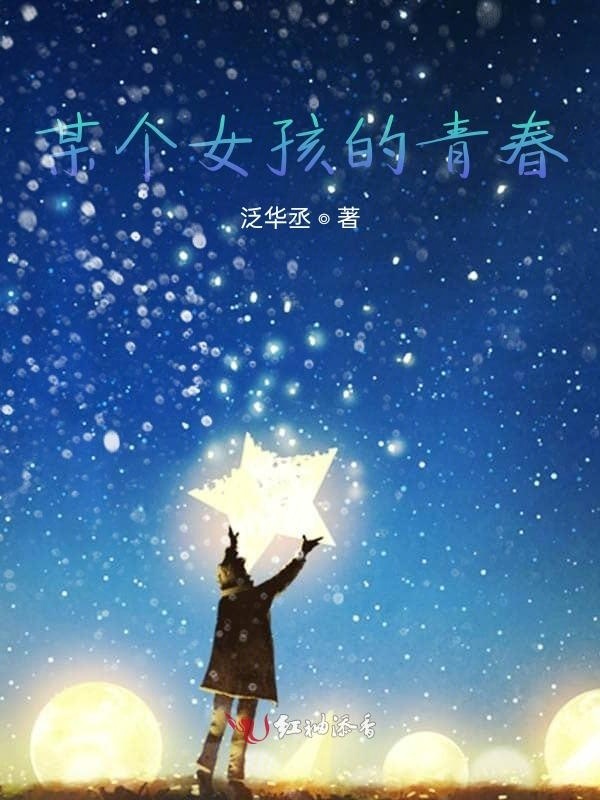某个女孩的青春小说封面