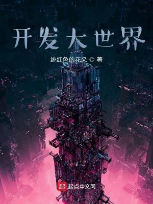 《开发大世界》封面
