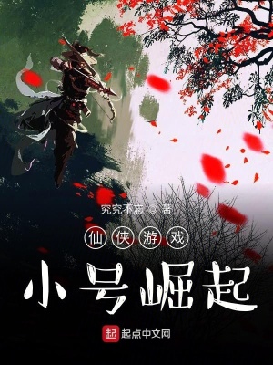 《仙侠游戏小号崛起》封面