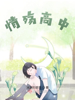 《情殇高中》封面