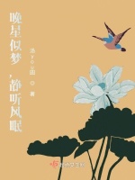 晚星似梦，静听风眠