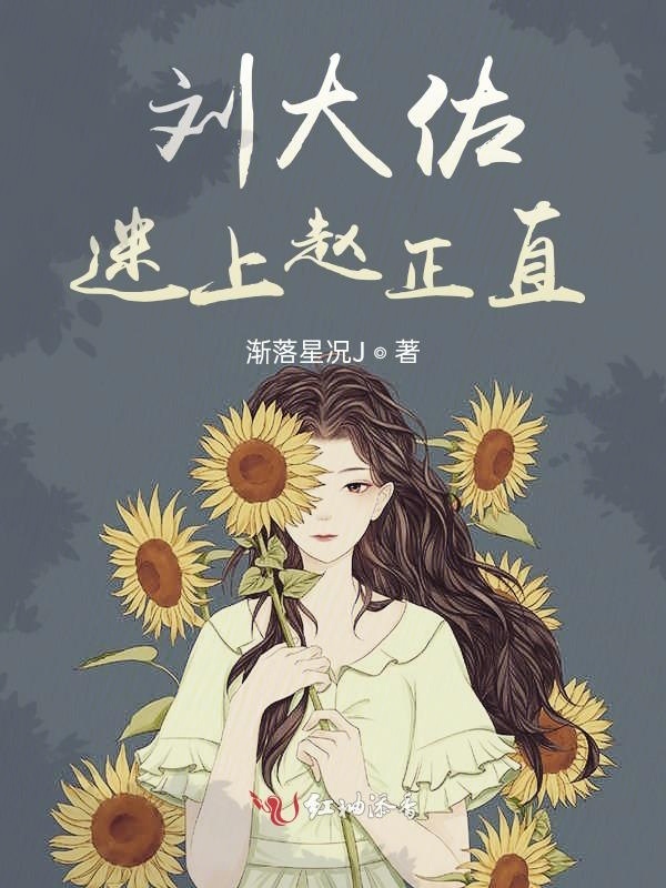 刘大佐迷上赵正直小说封面