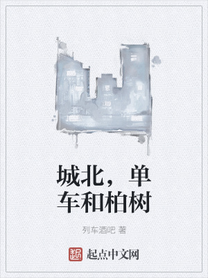 《城北，单车和柏树》封面