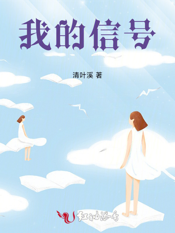我的信号小说封面