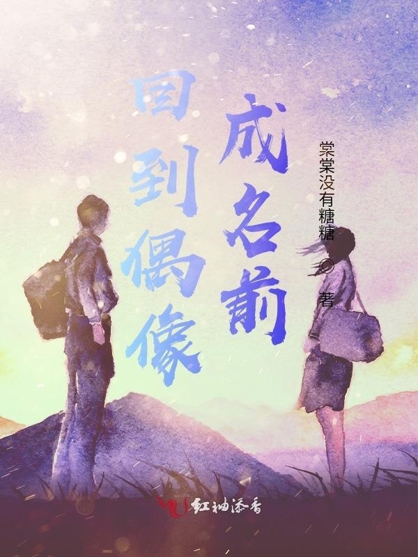 回到偶像成名前小说封面