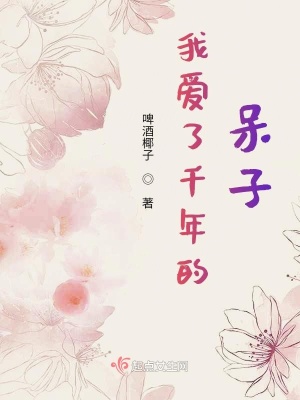 《我爱了千年的呆子》封面