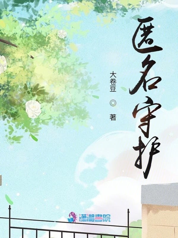 匿名守护小说封面