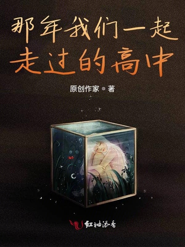 那年我们一起走过的高中小说封面