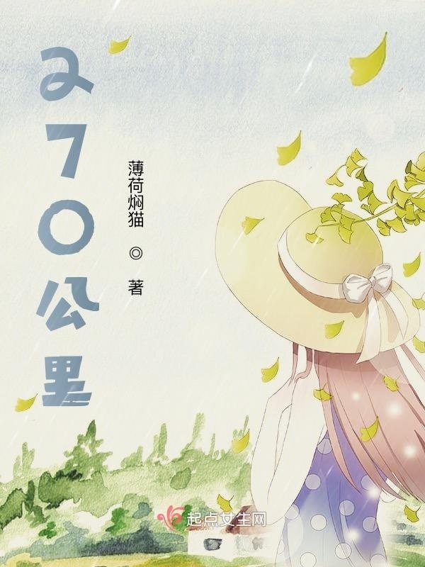 270公里小说封面