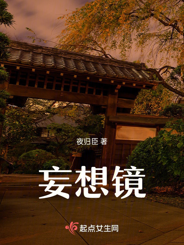妄想镜小说封面