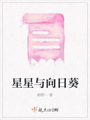 《星星与向日葵》封面