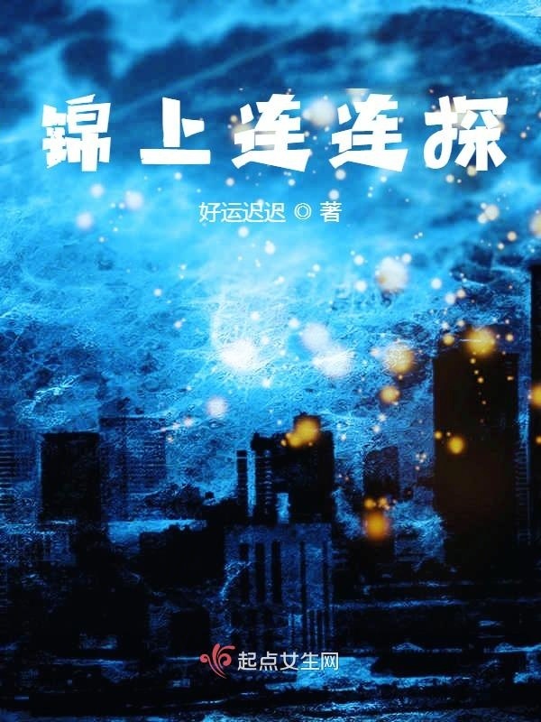 锦上连连探小说封面