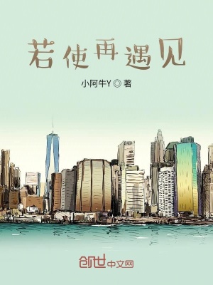《若使再遇见》封面