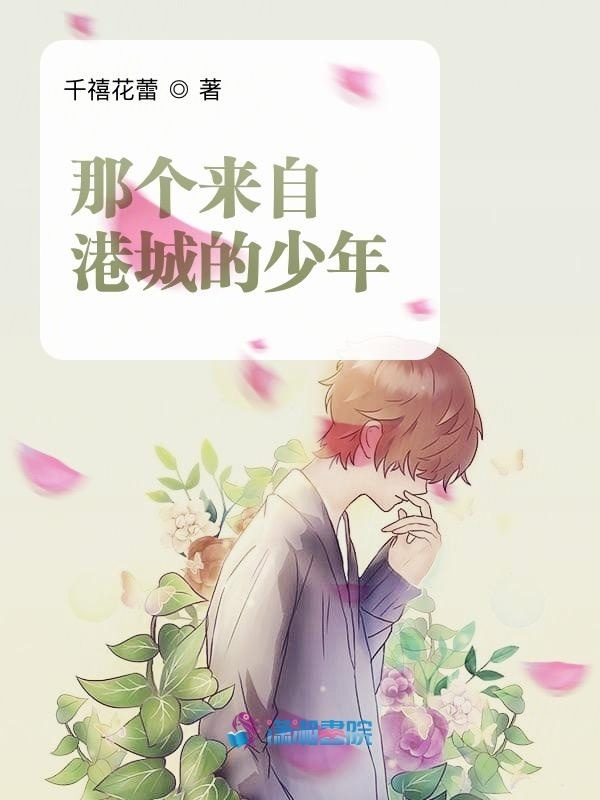那个来自港城的少年小说封面