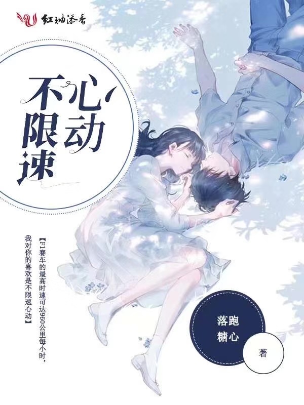 不限速心动小说封面