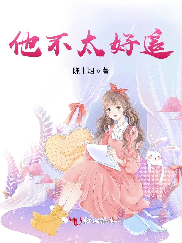 他不太好追小说封面