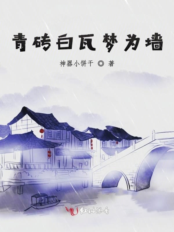 以梦筑墙小说封面