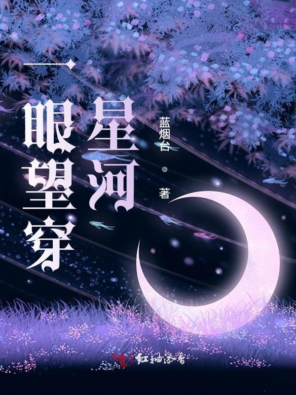 一眼望穿星河小说封面