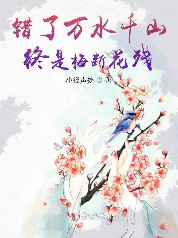 错了万水千山，终是梅断花残小说封面