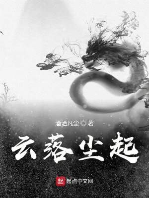《云落尘起》封面