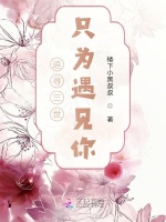 追寻三世只为遇见你