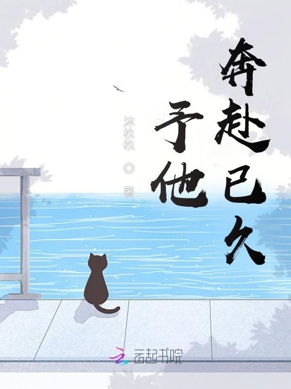 予他奔赴已久小说封面