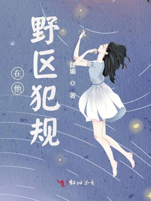在他野区犯规小说封面