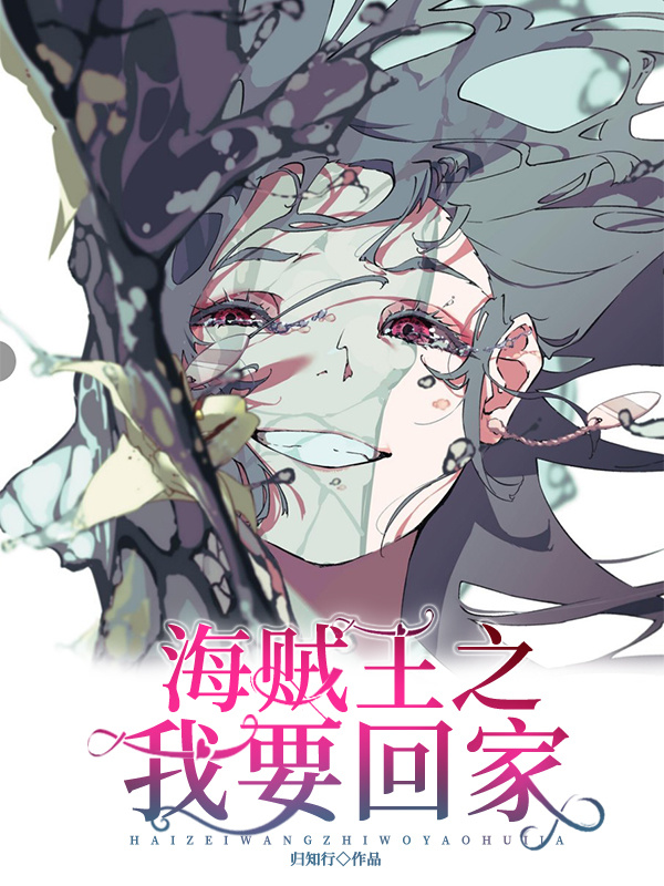 海贼王之我要回家小说封面