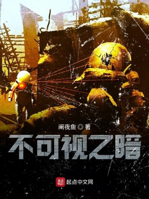 《不可视之暗》封面