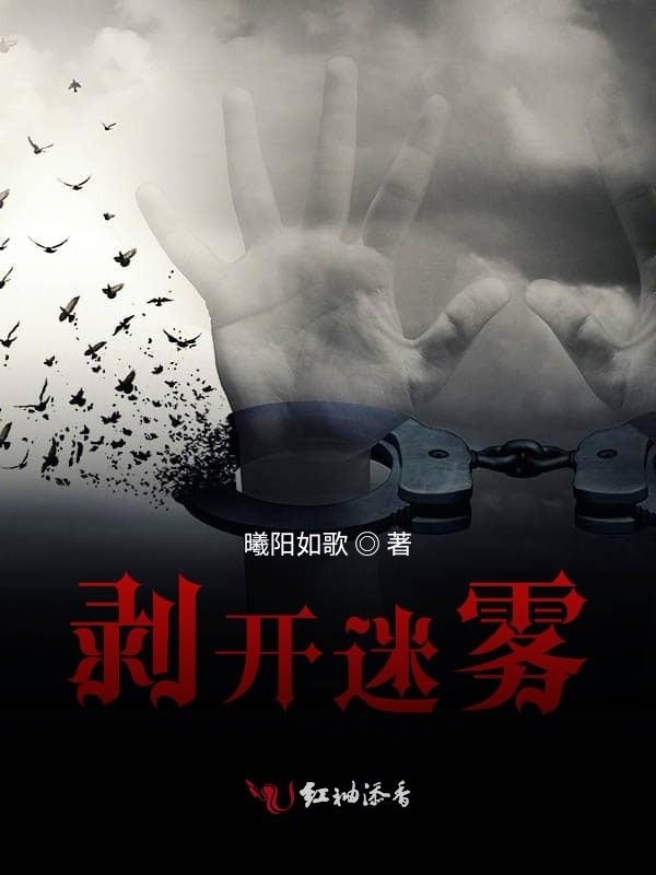 剥开迷雾小说封面
