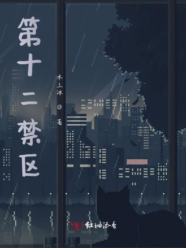 第十二禁区小说封面