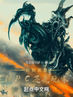 你到底是NPC还是玩家