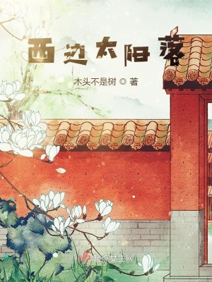 《西边太阳落》封面