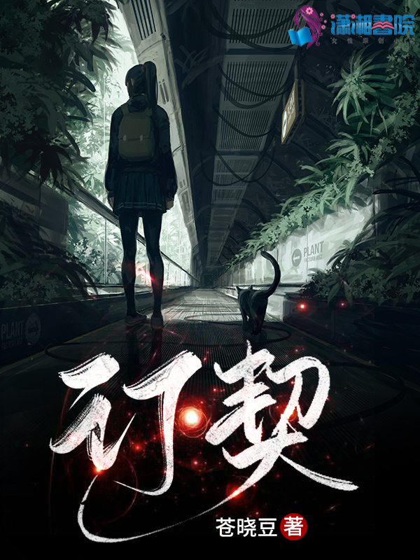 订契小说封面
